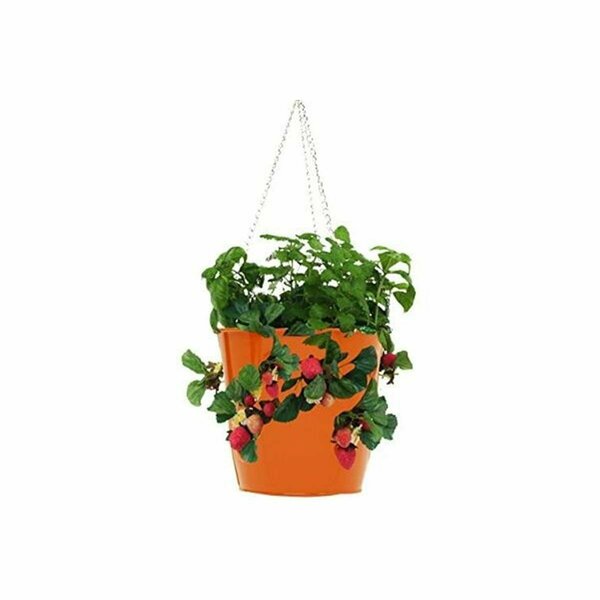 Superherostuff Enameled Galvanized Steel Strawberry Herb & Floral Hanging Planter Tangerine PA2433288